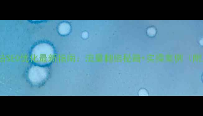 图片 外贸网站SEO优化最新指南：流量翻倍秘籍+实操案例（附工具）2