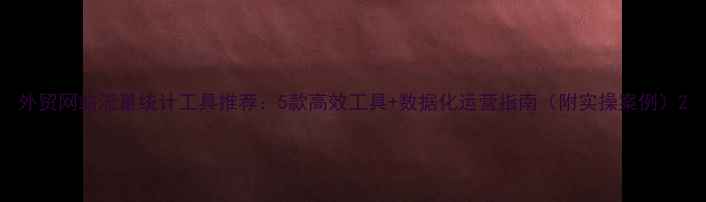 图片 外贸网站流量统计工具推荐：5款高效工具+数据化运营指南（附实操案例）2