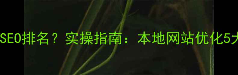 图片 大冶企业如何快速提升SEO排名？实操指南：本地网站优化5大核心策略与避坑指南2