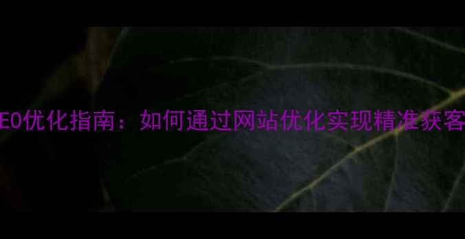 图片 大理本地企业SEO优化指南：如何通过网站优化实现精准获客与流量暴涨？1