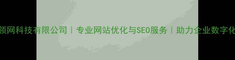 图片 大连领网科技有限公司｜专业网站优化与SEO服务｜助力企业数字化转型