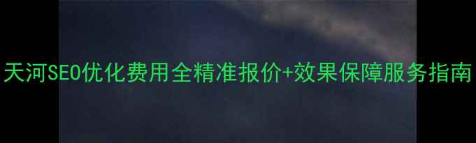 图片 天河SEO优化费用全精准报价+效果保障服务指南