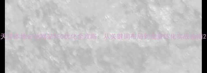 图片 天津本地企业网站SEO优化全攻略：从关键词布局到流量转化实战指南2