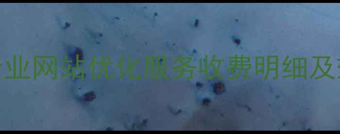 图片 如东本地企业网站优化服务收费明细及效果保障全