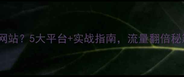 图片 如何高效优化网站？5大平台+实战指南，流量翻倍秘籍大公开！🔥1