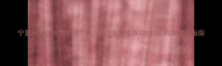 图片 宁夏网站优化哪家强？本地SEO专家推荐TOP10机构及避坑指南