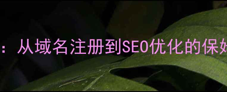 图片 宁波公司网站制作全攻略：从域名注册到SEO优化的保姆级教程（附避坑指南）1