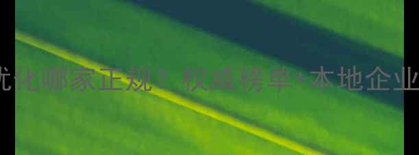 图片 安庆网站优化哪家正规？权威榜单+本地企业实操指南1