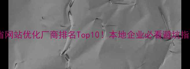 图片 安徽省网站优化厂商排名Top10！本地企业必看避坑指南✨1