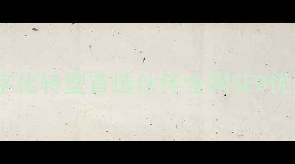 图片 安徽网络有限公司：本地企业数字化转型首选伙伴全网SEO优化与数字化营销一站式解决方案1