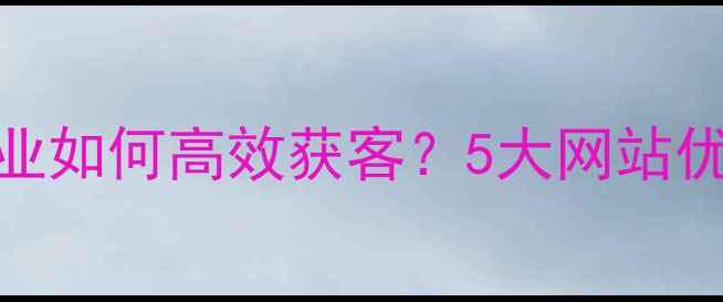 图片 定西企业如何高效获客？5大网站优化策略