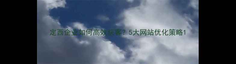 图片 定西企业如何高效获客？5大网站优化策略1
