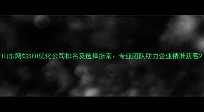 图片 山东网站SEO优化公司排名及选择指南：专业团队助力企业精准获客2
