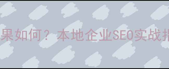 图片 山东网站优化效果如何？本地企业SEO实战指南与案例分析1