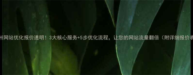 图片 巴州网站优化报价透明！3大核心服务+5步优化流程，让您的网站流量翻倍（附详细报价表）