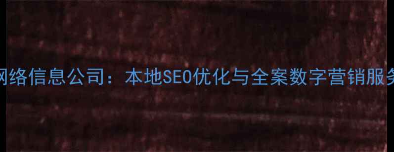 图片 常州网络信息公司：本地SEO优化与全案数字营销服务专家
