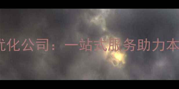 图片 平顶山专业网站建设优化公司：一站式服务助力本地企业抢占流量高地2