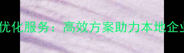 图片 平顶山网站外包优化服务：高效方案助力本地企业抢占流量高地1