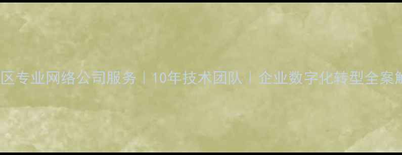 图片 广州白云区专业网络公司服务｜10年技术团队｜企业数字化转型全案解决方案2