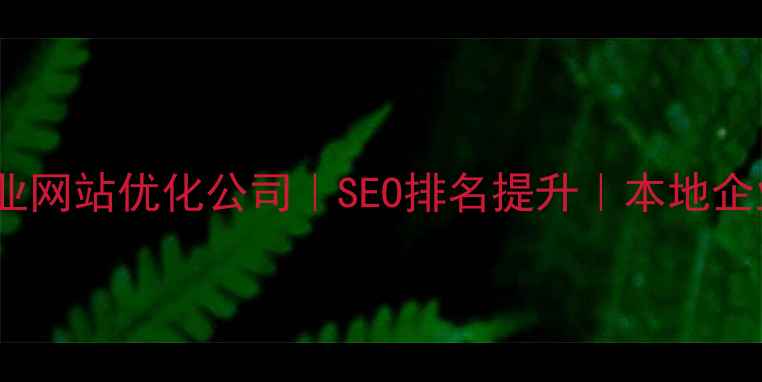 图片 广州黄埔专业网站优化公司｜SEO排名提升｜本地企业网站建设1
