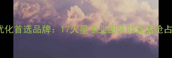 图片 庆阳本地SEO优化首选品牌：17火星专业团队助企业抢占搜索流量高地