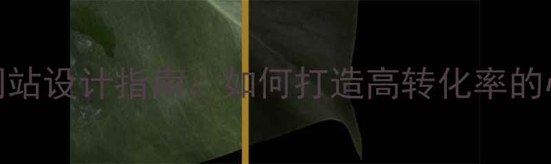 图片 心理学门户网站设计指南：如何打造高转化率的心理健康平台