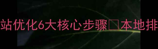 图片 必看指南｜菏泽定制网站优化6大核心步骤🔥本地排名+转化率双提升秘籍2