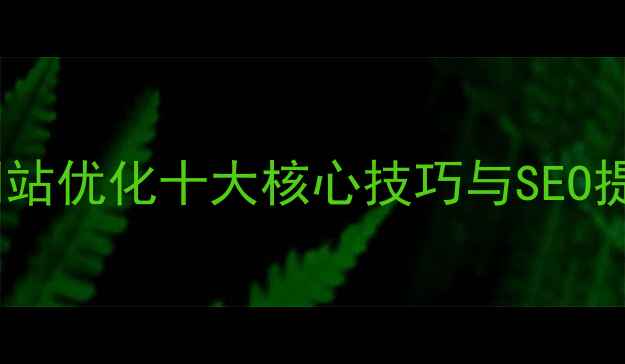 图片 必看！网站优化十大核心技巧与SEO提升指南1