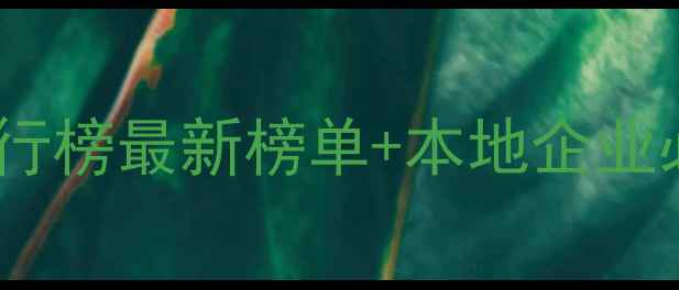 图片 忻州网站建设排行榜最新榜单+本地企业必看优化指南🔥1