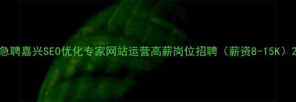 图片 急聘嘉兴SEO优化专家网站运营高薪岗位招聘（薪资8-15K）2