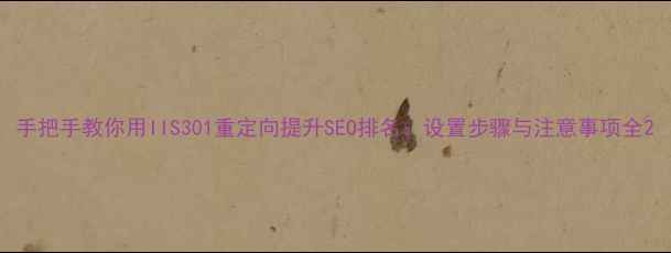 图片 手把手教你用IIS301重定向提升SEO排名：设置步骤与注意事项全2