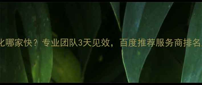 图片 手机网站优化哪家快？专业团队3天见效，百度推荐服务商排名及避坑指南2