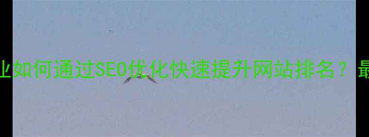 图片 承德本地企业如何通过SEO优化快速提升网站排名？最新实操指南