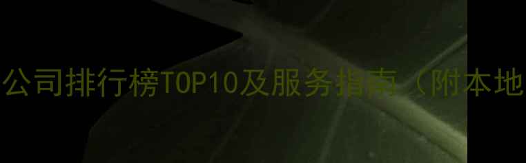 图片 揭阳小程序开发公司排行榜TOP10及服务指南（附本地化开发全攻略）