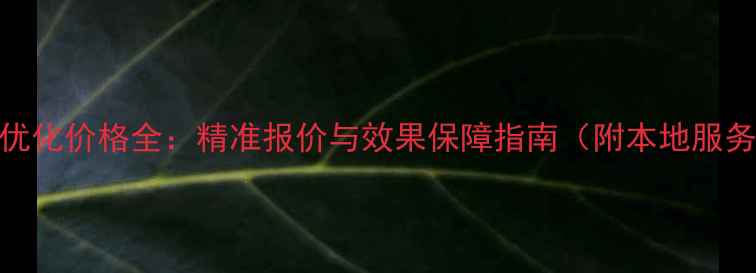 图片 揭阳网站优化价格全：精准报价与效果保障指南（附本地服务商对比）
