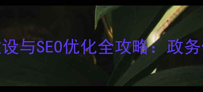 图片 政府网站集群建设与SEO优化全攻略：政务信息化升级指南