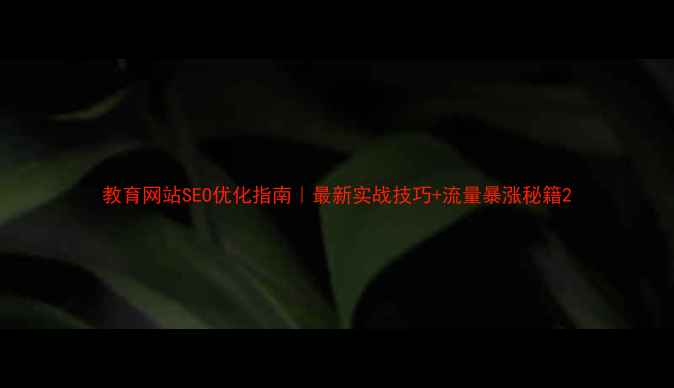 图片 教育网站SEO优化指南｜最新实战技巧+流量暴涨秘籍2