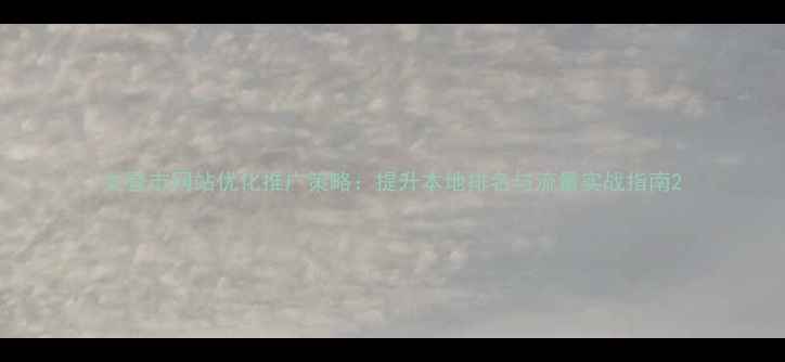 图片 文登市网站优化推广策略：提升本地排名与流量实战指南2