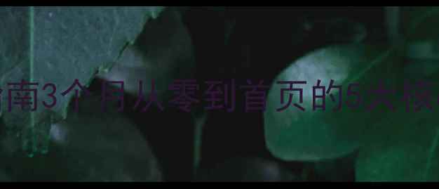 图片 新安地区网站SEO实战指南3个月从零到首页的5大核心策略（附避坑清单）2