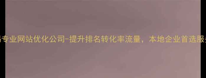 图片 无锡专业网站优化公司-提升排名转化率流量，本地企业首选服务商