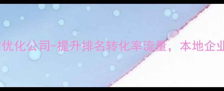 图片 无锡专业网站优化公司-提升排名转化率流量，本地企业首选服务商1