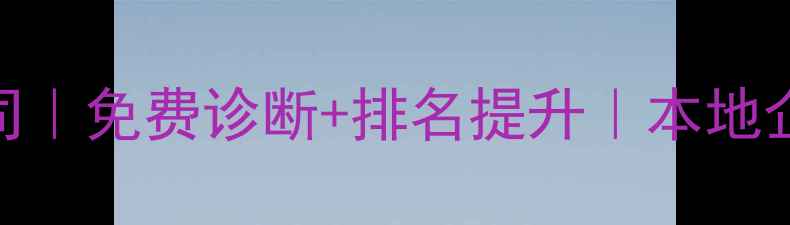 图片 日照网站优化公司｜免费诊断+排名提升｜本地企业必看SEO指南1