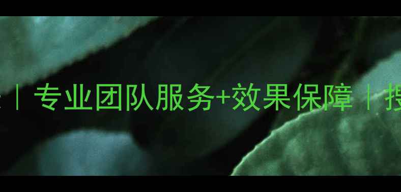 图片 普兰店网站优化报价表｜专业团队服务+效果保障｜搜索引擎排名提升方案1