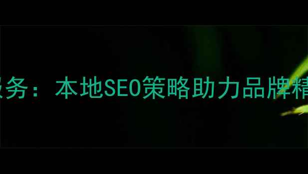 图片 普陀区企业网站优化服务：本地SEO策略助力品牌精准获客（最新指南）2