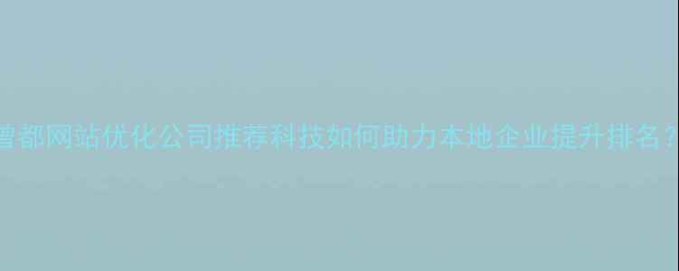 图片 曾都网站优化公司推荐科技如何助力本地企业提升排名？