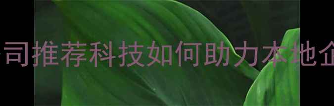 图片 曾都网站优化公司推荐科技如何助力本地企业提升排名？2