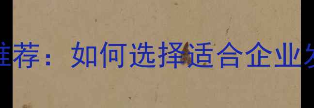 图片 最佳宣传推广网站推荐：如何选择适合企业发展的SEO优化平台1