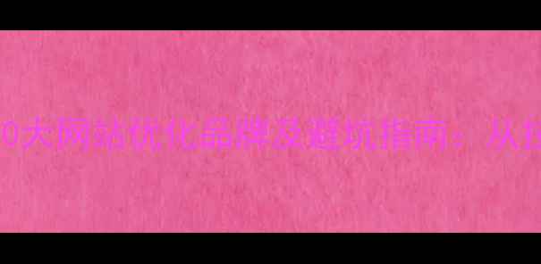 图片 最值得信赖的10大网站优化品牌及避坑指南：从技术到服务的全