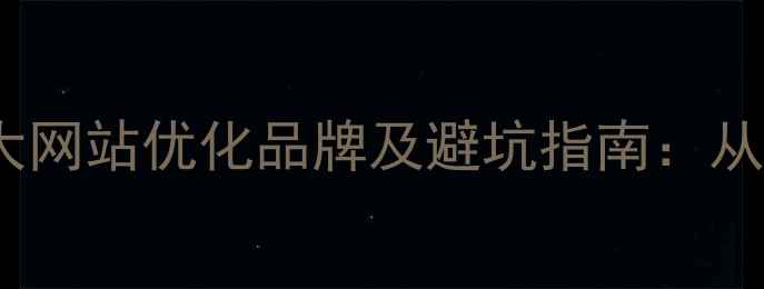 图片 最值得信赖的10大网站优化品牌及避坑指南：从技术到服务的全1