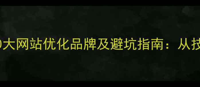 图片 最值得信赖的10大网站优化品牌及避坑指南：从技术到服务的全2